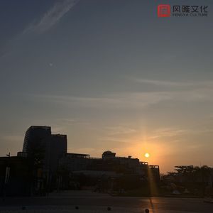 深圳妈妈15-20章读书笔记
