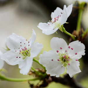 深圳妈妈15-20章读书笔记
